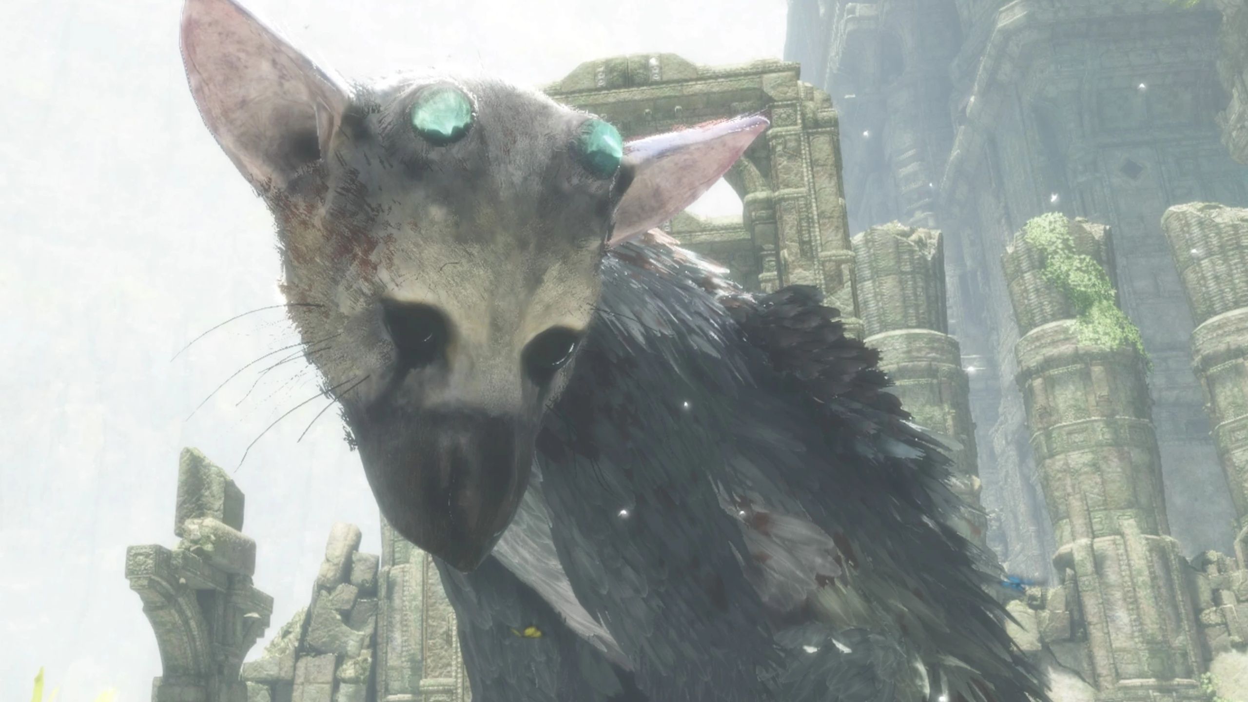 Лучшие игры, где можно наладить отношения с вашим скакуном