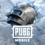 PUBG Mobile Private Server